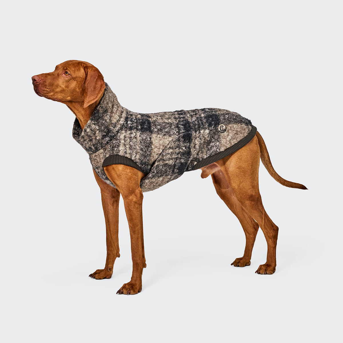 Cloud7 Hundepullover Gotland Tartan Tragebild