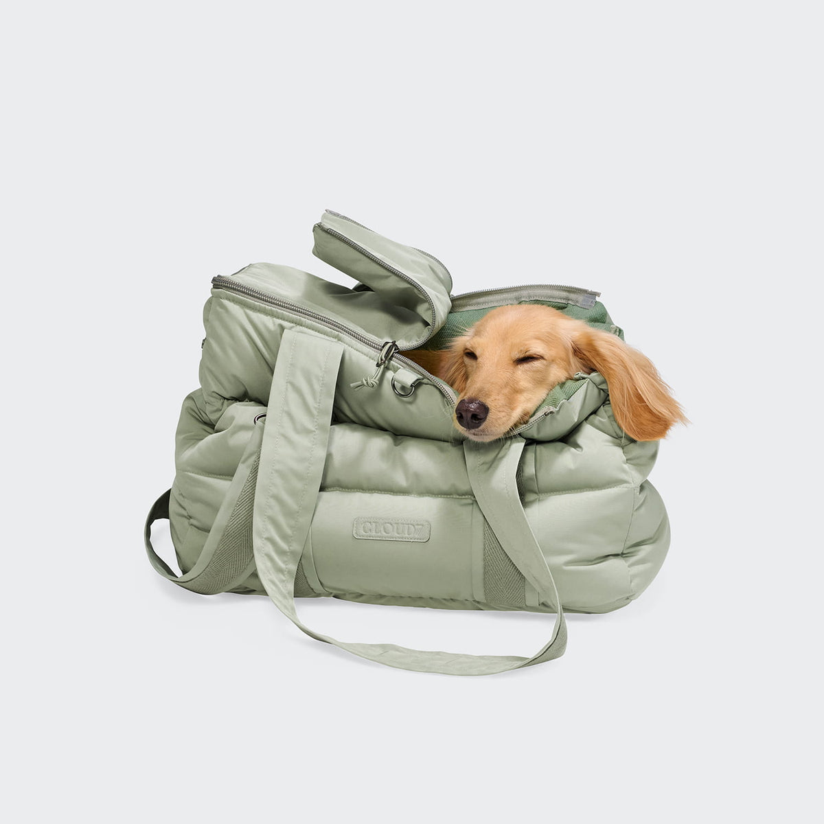 Cloud7 Hundetasche MONTREAL 2.0 Dusty Mint mit Hund