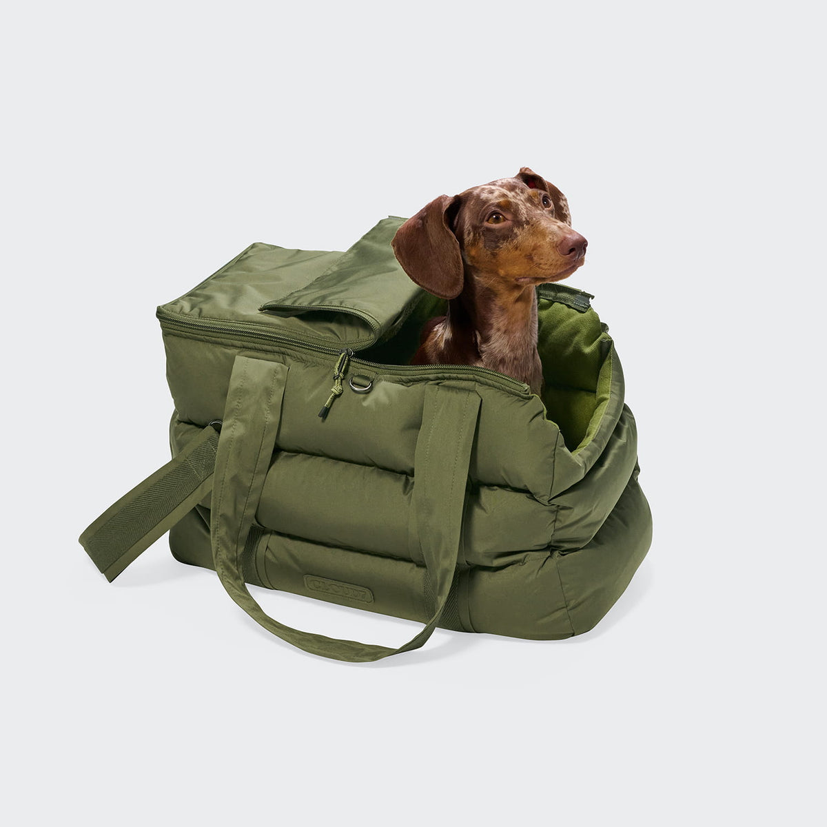 Cloud7 Hundetasche MONTREAL 2.0 Light Olive mit Hund