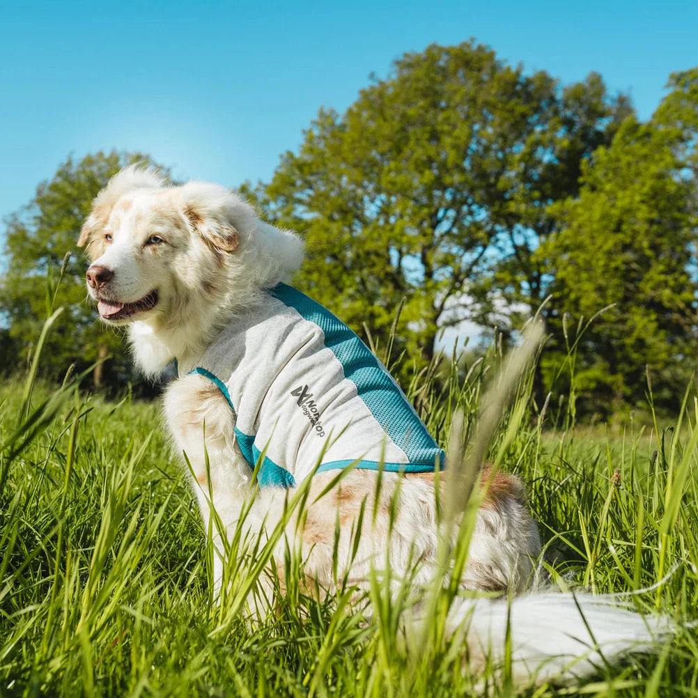 Kühlweste Cooling pull-on vest