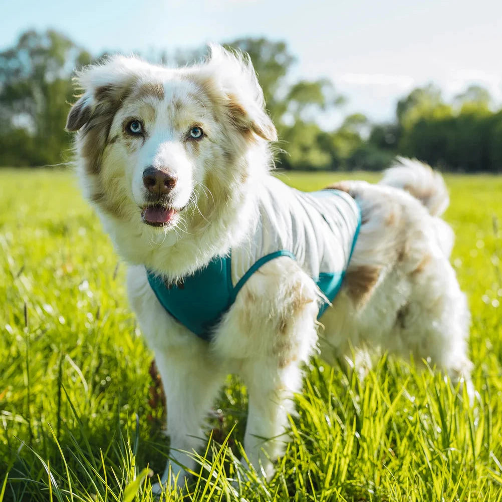 Kühlweste Cooling pull-on vest