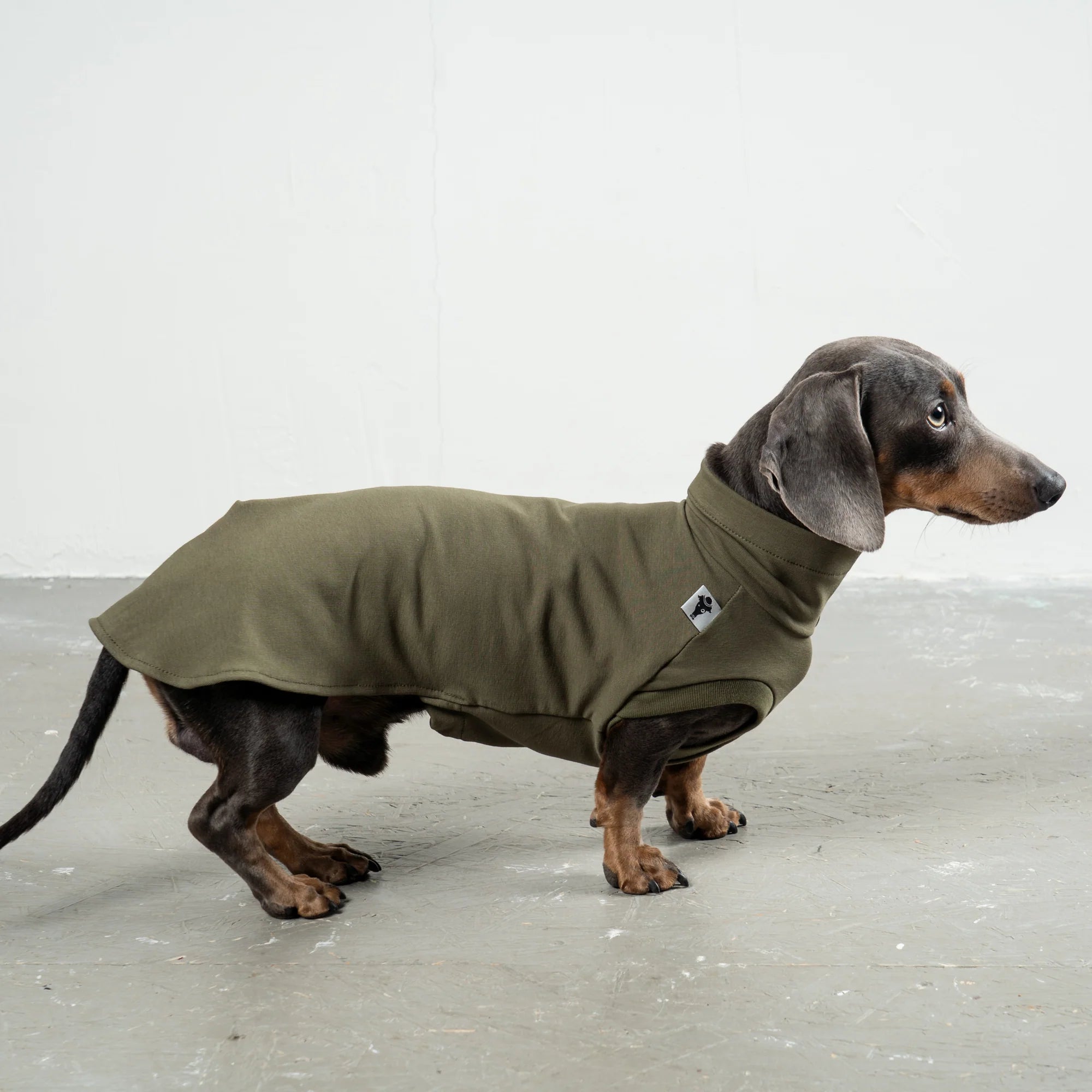 KARMA HUND Cotton Shirt für Dackel in Dark Olive