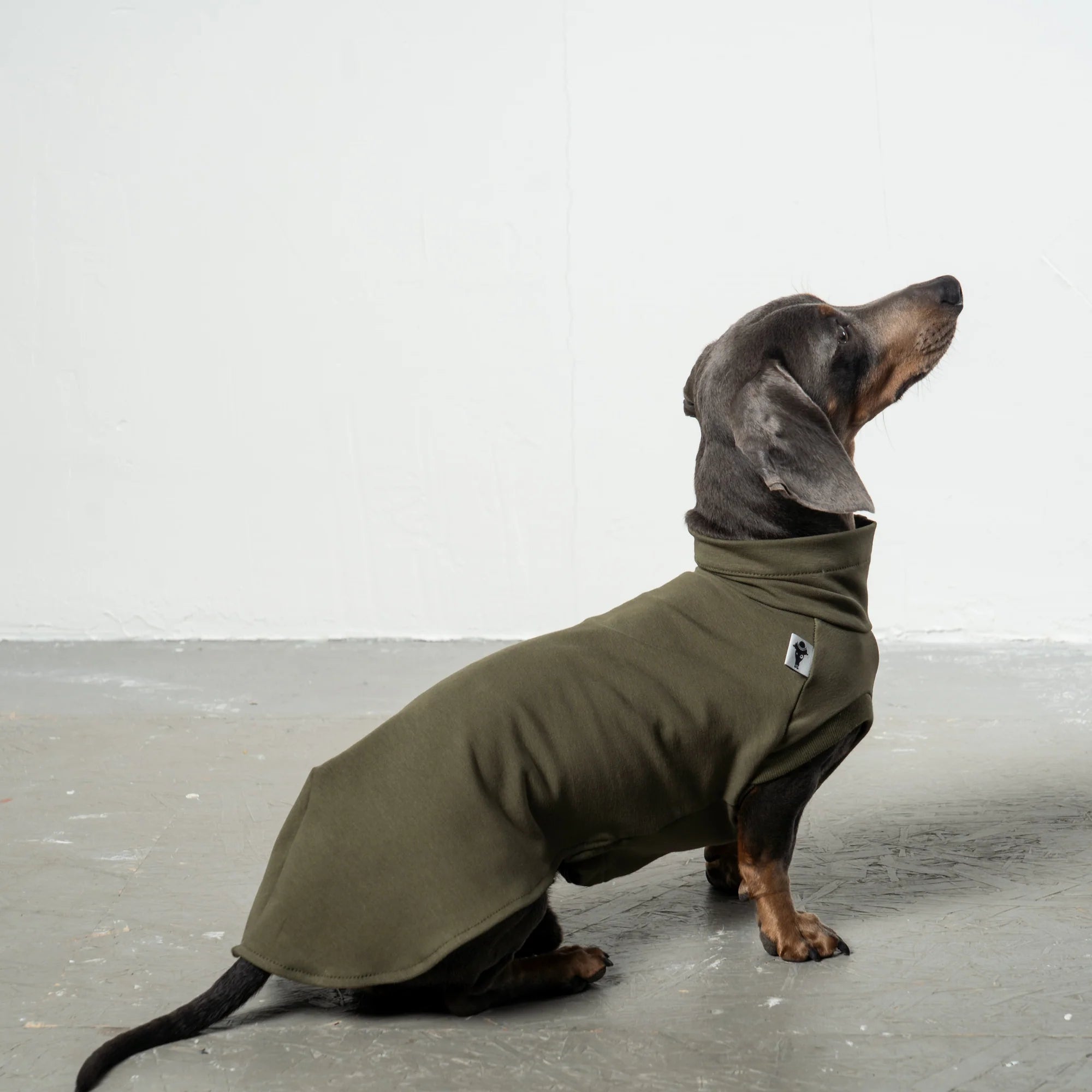 KARMA HUND Cotton Shirt für Dackel in Dark Olive