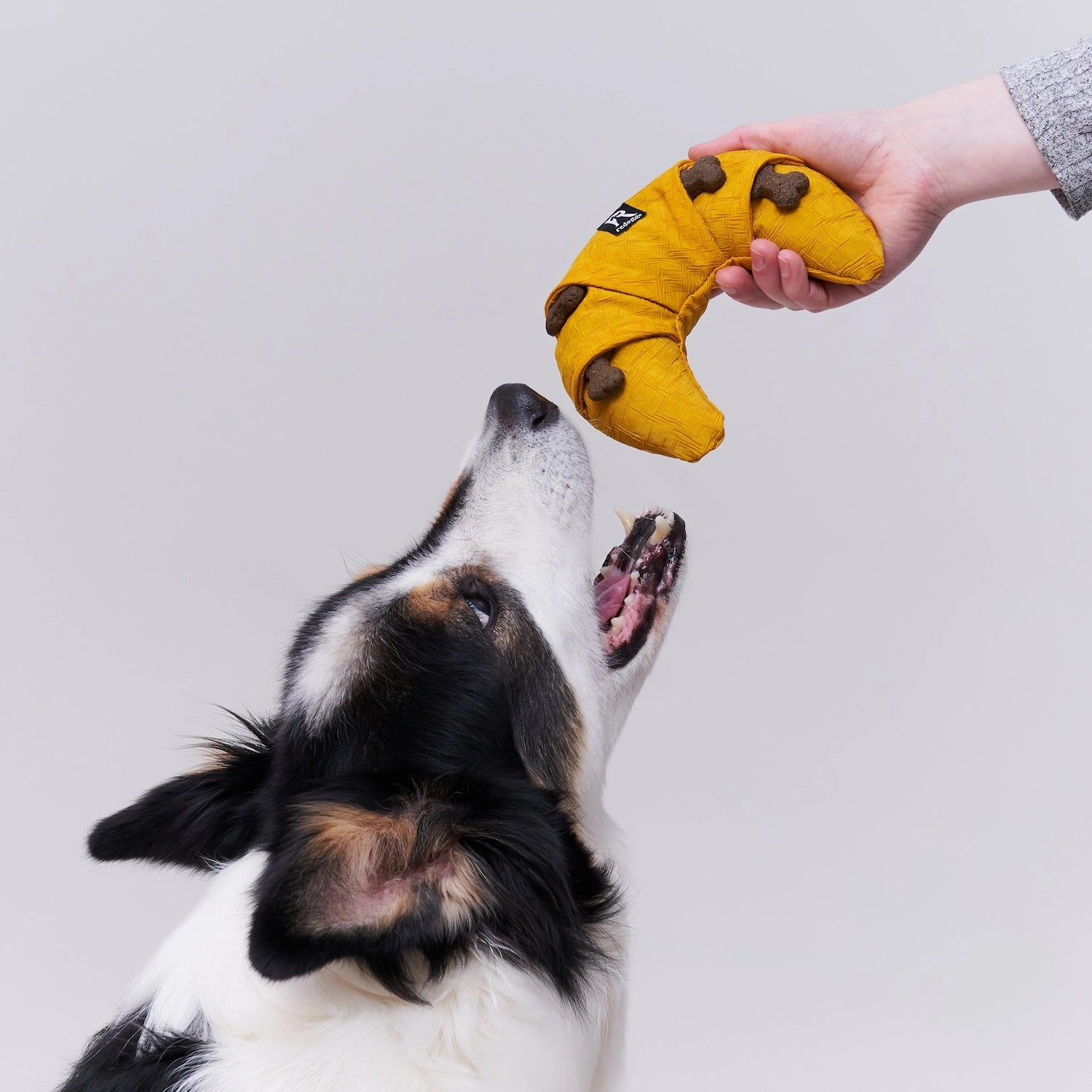 Hundespielzeug Croissant – nachhaltig, robust & interaktiv