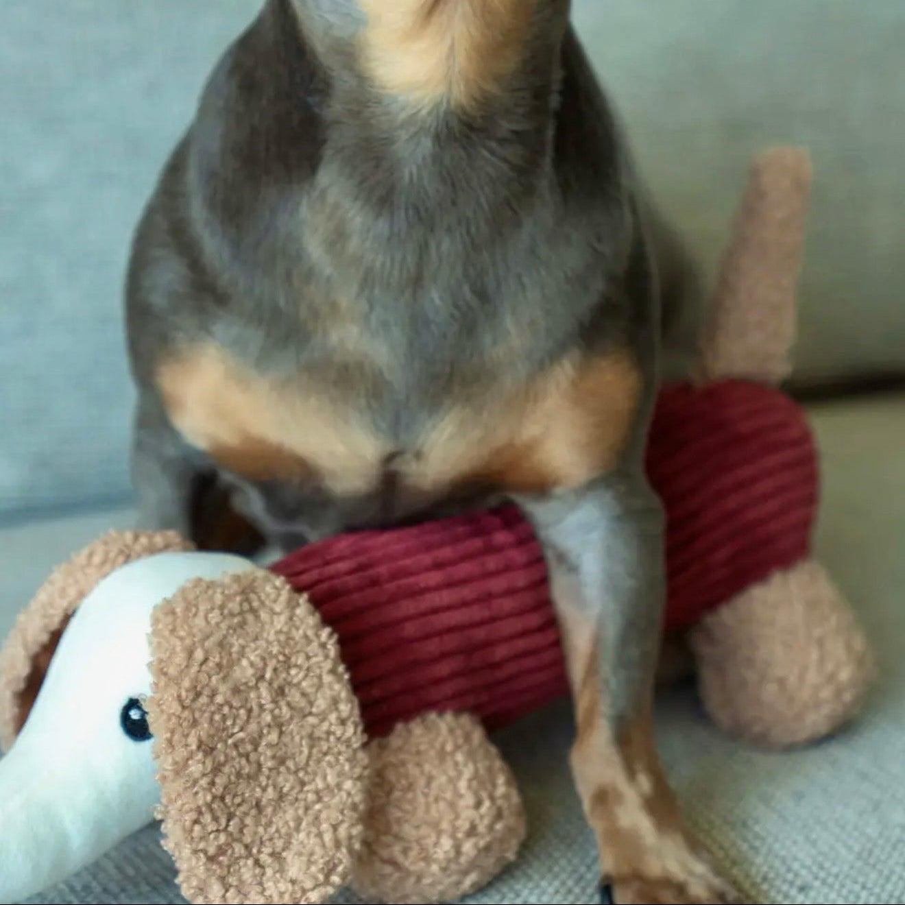 Hundespielzeug Dackel Micky Merlot