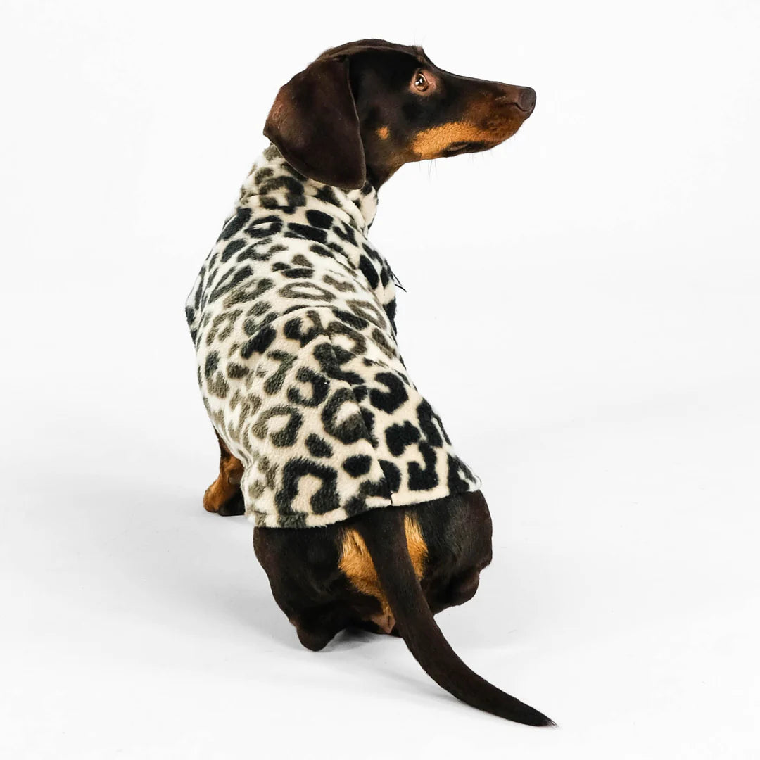 KARMA HUND Longshirt 2.0 für Dackel in Leo