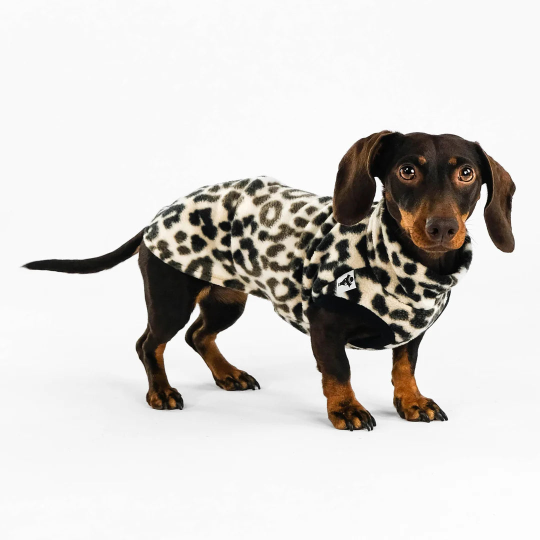 KARMA HUND Longshirt 2.0 für Dackel in Leo