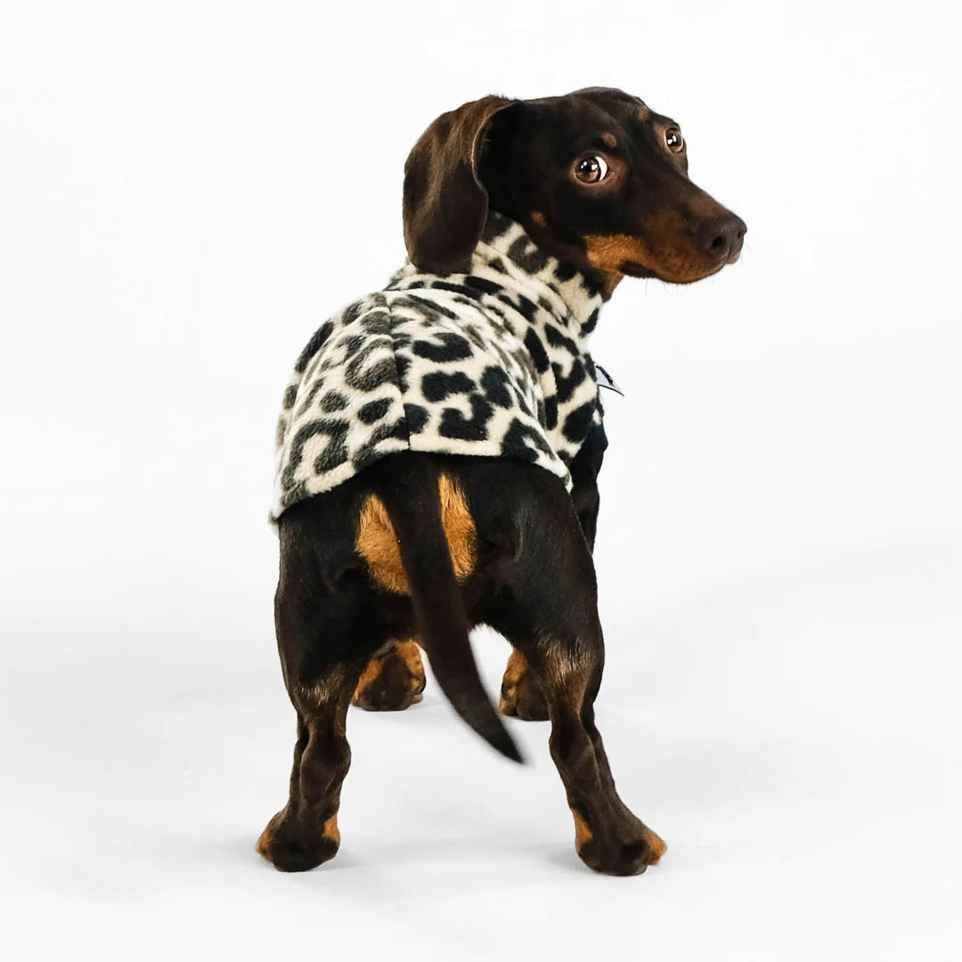 KARMA HUND Longshirt 2.0 für Dackel in Leo