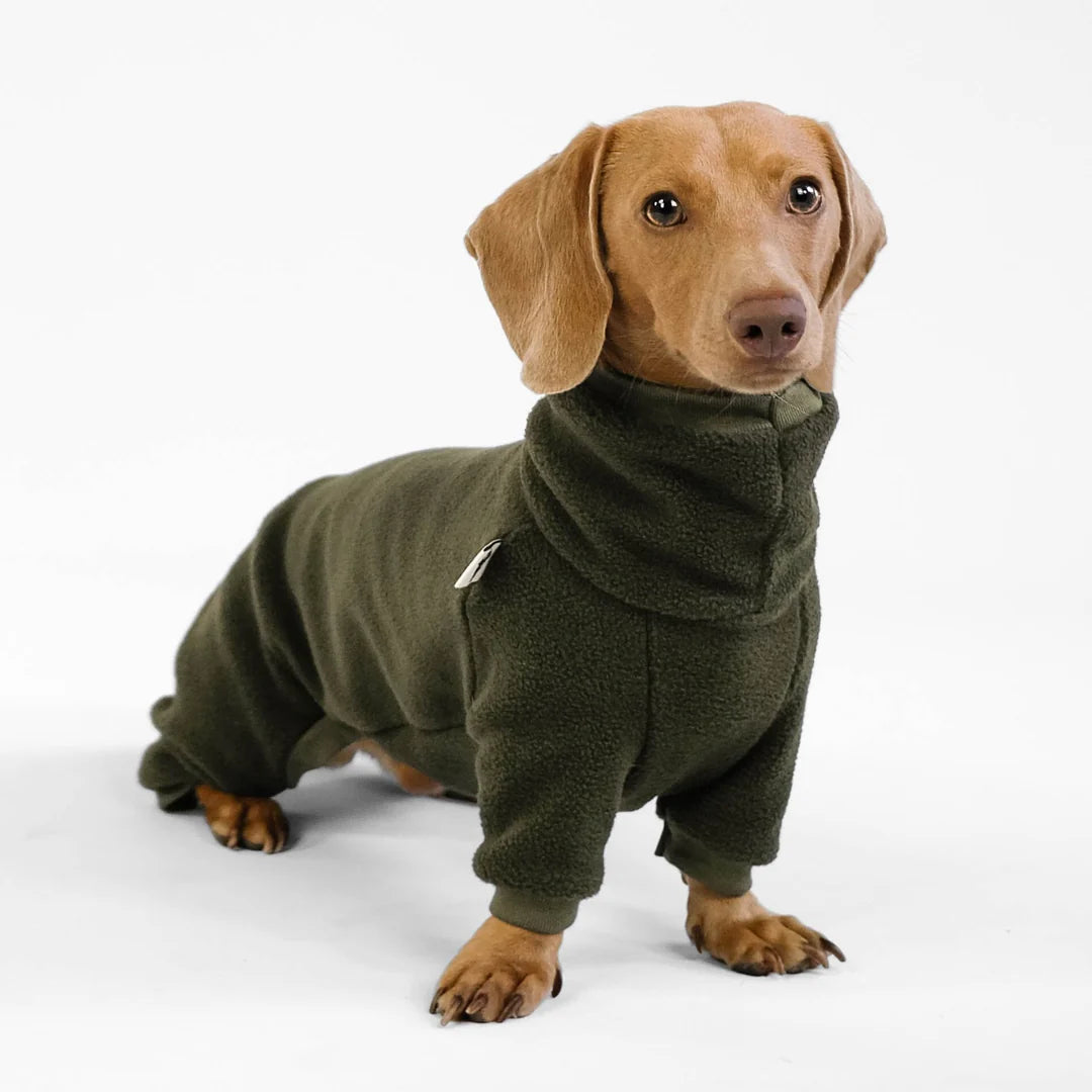 KARMA HUND Overall für Dackel in Dark Olive