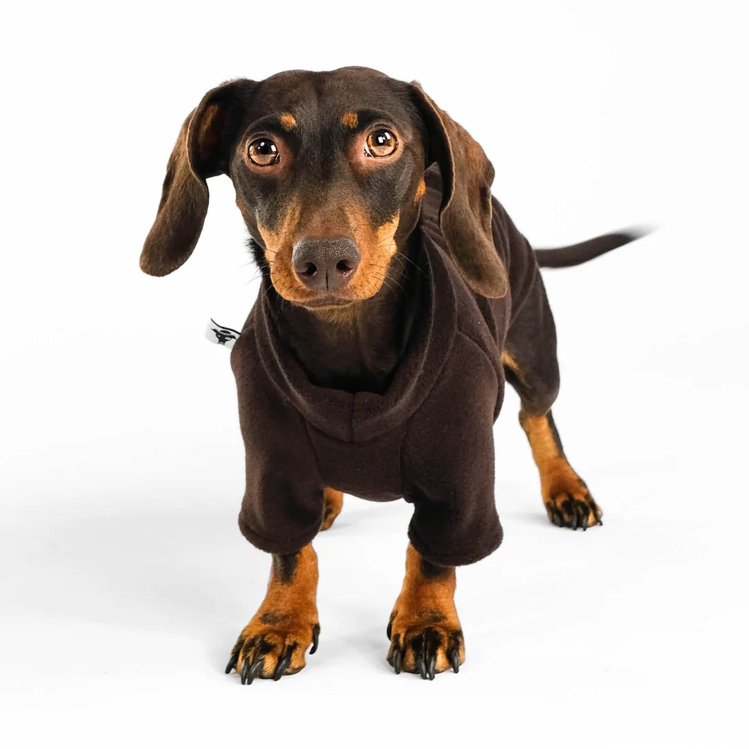 KARMA HUND Pullover für Dackel in Brown