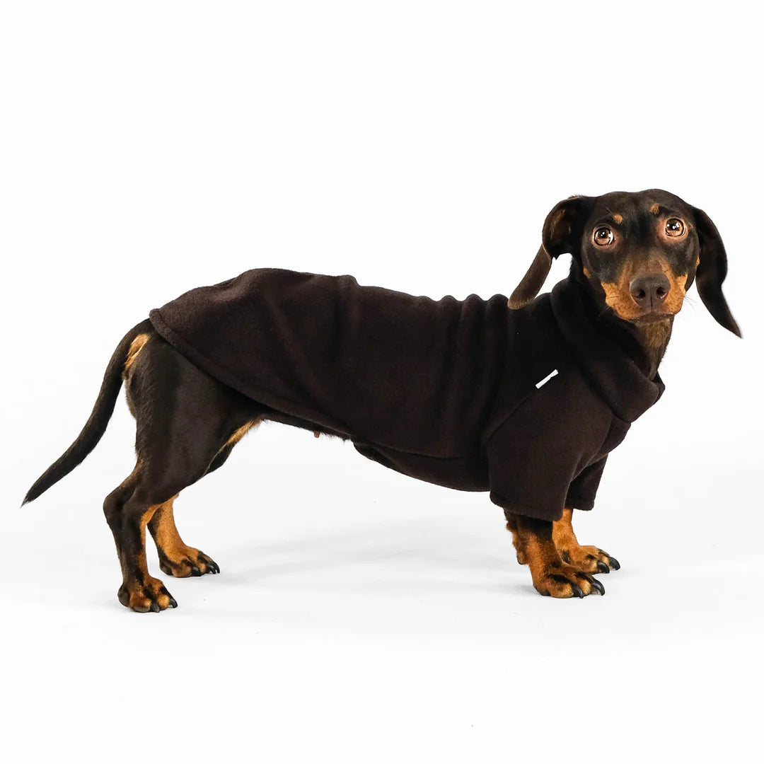 KARMA HUND Pullover für Dackel in Brown