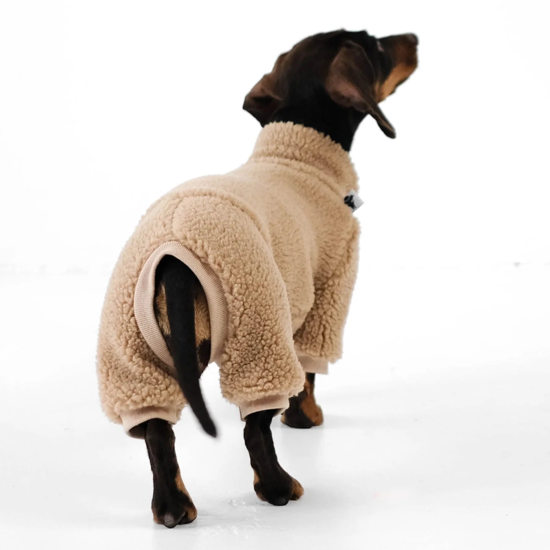 KARMA HUND Teddy Overall für Dackel in Camel