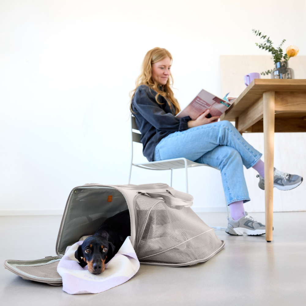 Dekobild Hund in PALOPA Hundereisetasche Travel Carrier BENNO Taupe