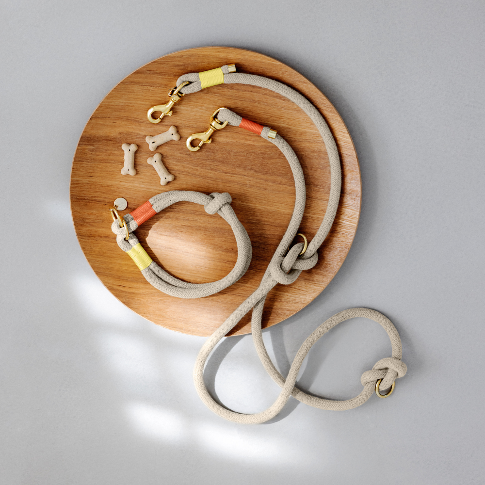 Dekobild Halsband & Hundeleine MILA geflochten Natur Neon Orange - PALOPA