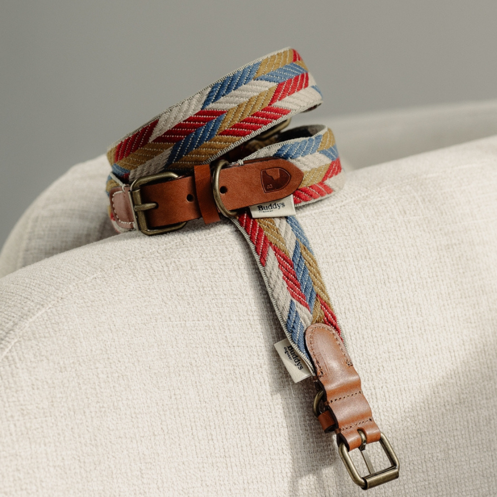 Dekobild Halsband & Leine Naya Puzzle - Buddys Dogwear
