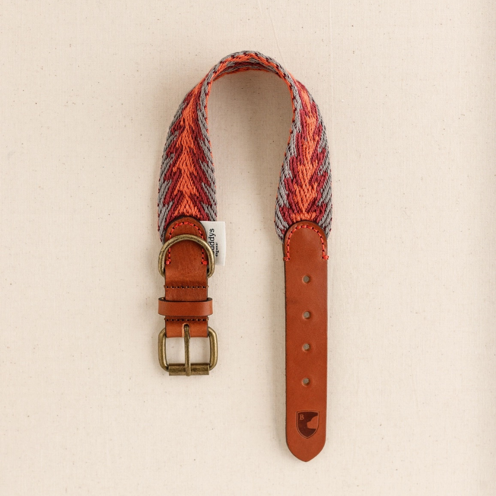 Dekobild Halsband Peruvian Arrow ORANGE - Buddys Dogwear