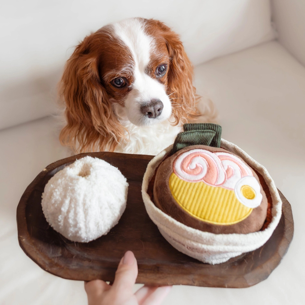 Dekobild mit Schnüffelspielzeug Ramen für Hunde - lambwolf collective