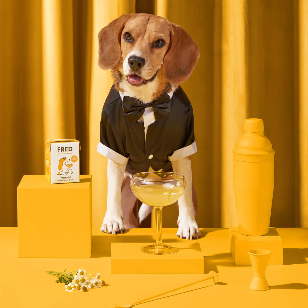 Hund mit Dog Drink "Wauquiri" - FRED & FELIA