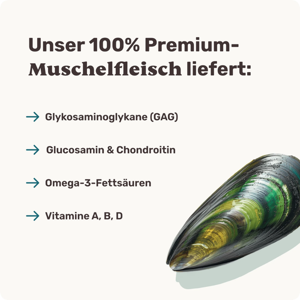 Eigenschaften Vitalstoff Drops mit GLM für Hunde - mammaly