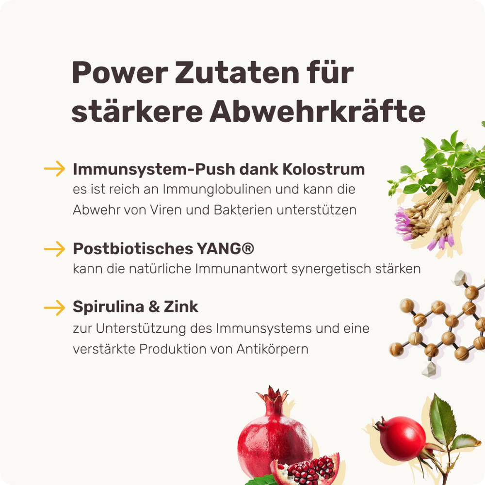 Eigenschaften & Zutaten Immu Push Abwehrkräfte-Snack für Hunde - mammaly