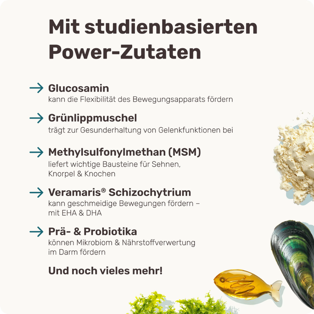 Eigenschaften & Zutaten Active Hips Gelenk-Snack für Hunde - mammaly