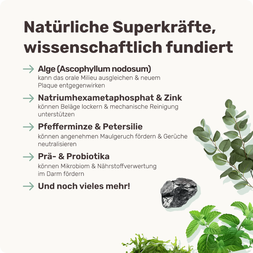 Eigenschaft & Zutaten Fresh Smile Zahnpflege Snacks für Hunde - mammaly