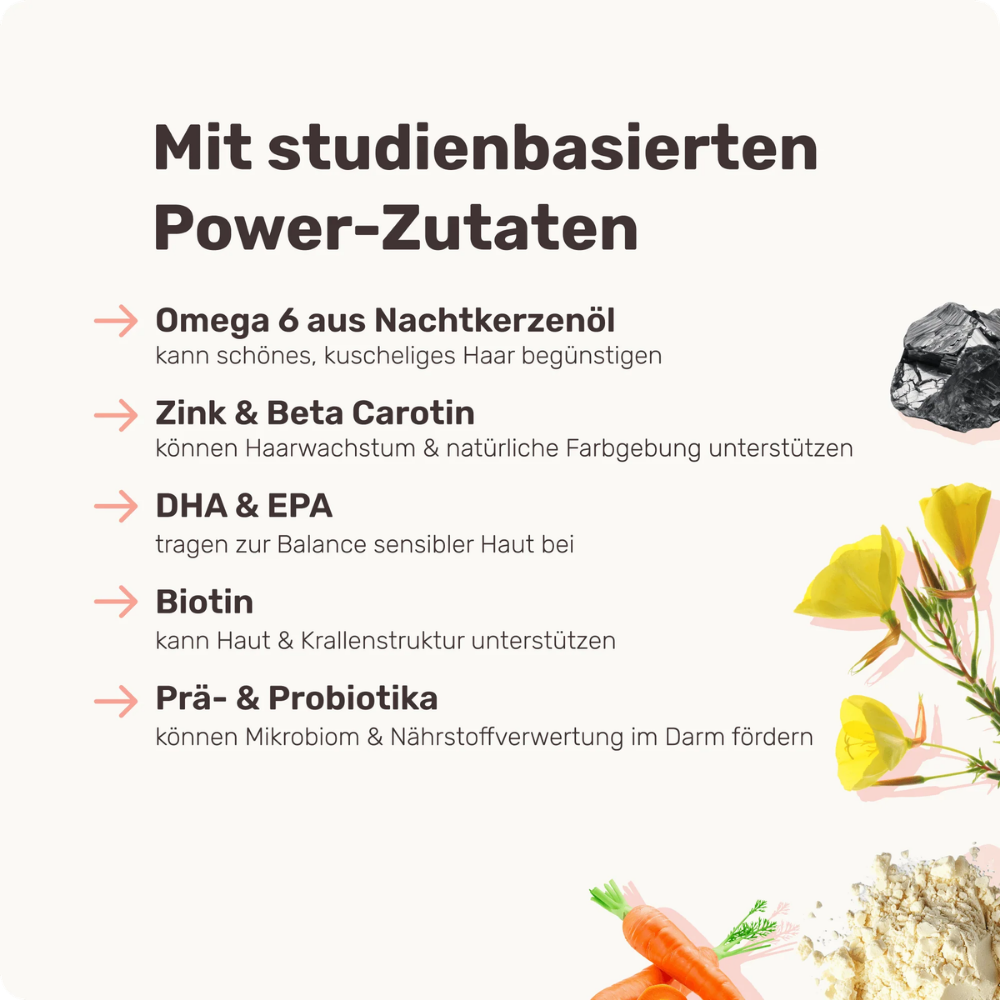 Eigenschaften & Zutaten Shiny Hair Fellpflege-Snack für Hunde - mammaly