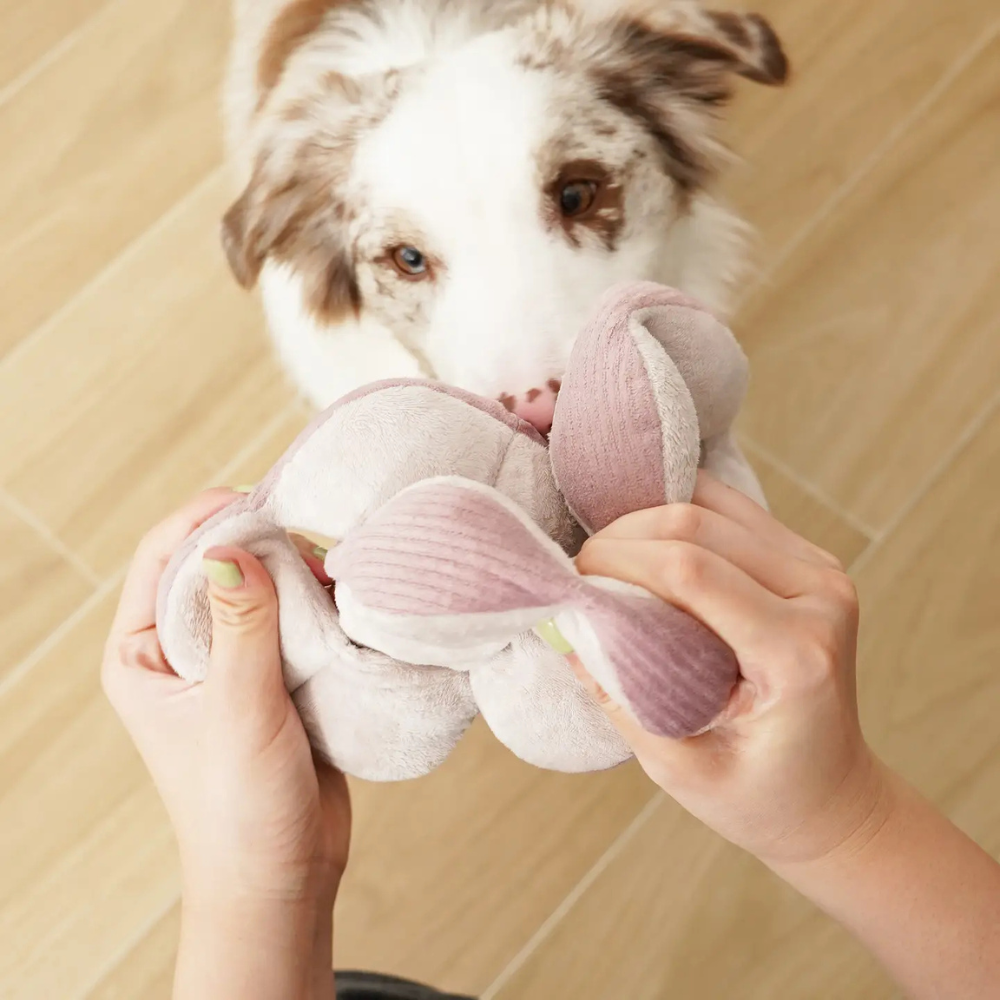 Einzelteile Schnüffelball MONTI Hundespielzeug Cord LILAC - Lambwolf Collective
