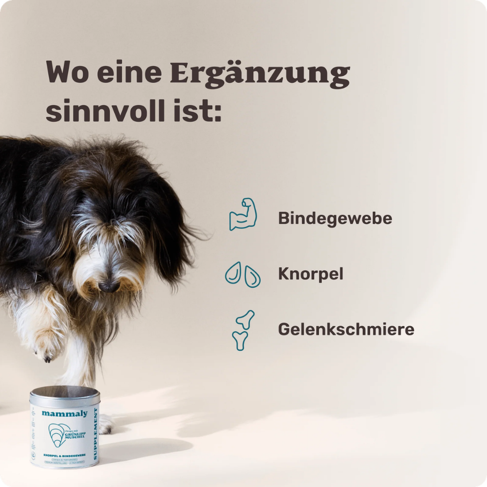 Ergänzung Vitalstoff Drops mit GLM für Hunde - mammaly