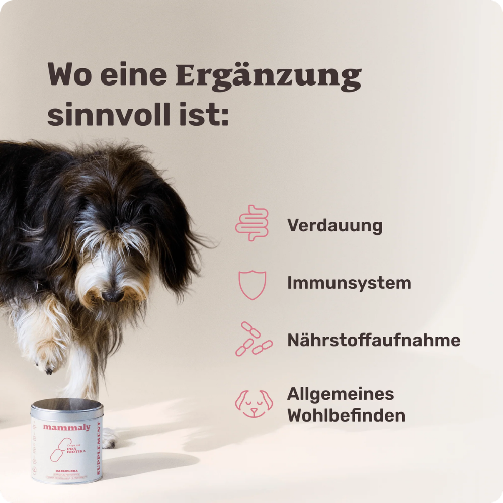 Ergänzung Vitalstoff Drops mit Präbiotika für Hunde - mammaly