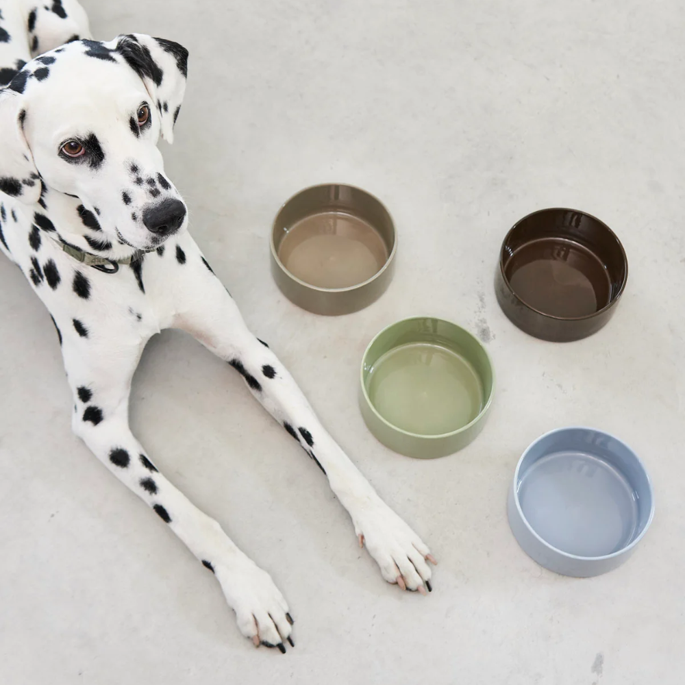 Farbübersicht MiaCara Scodella Napf