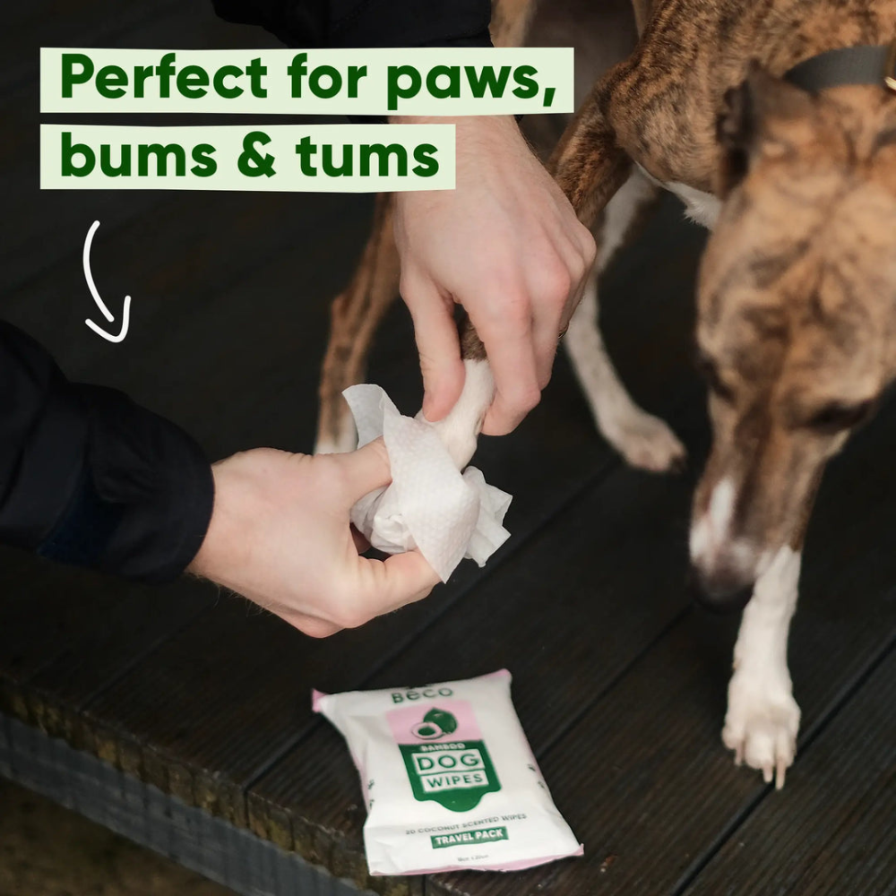 Feuchttücher für Hunde mit Kokosnuss Duft für Pfoten, Popo & Bauch Reisegröße - Beco Pets