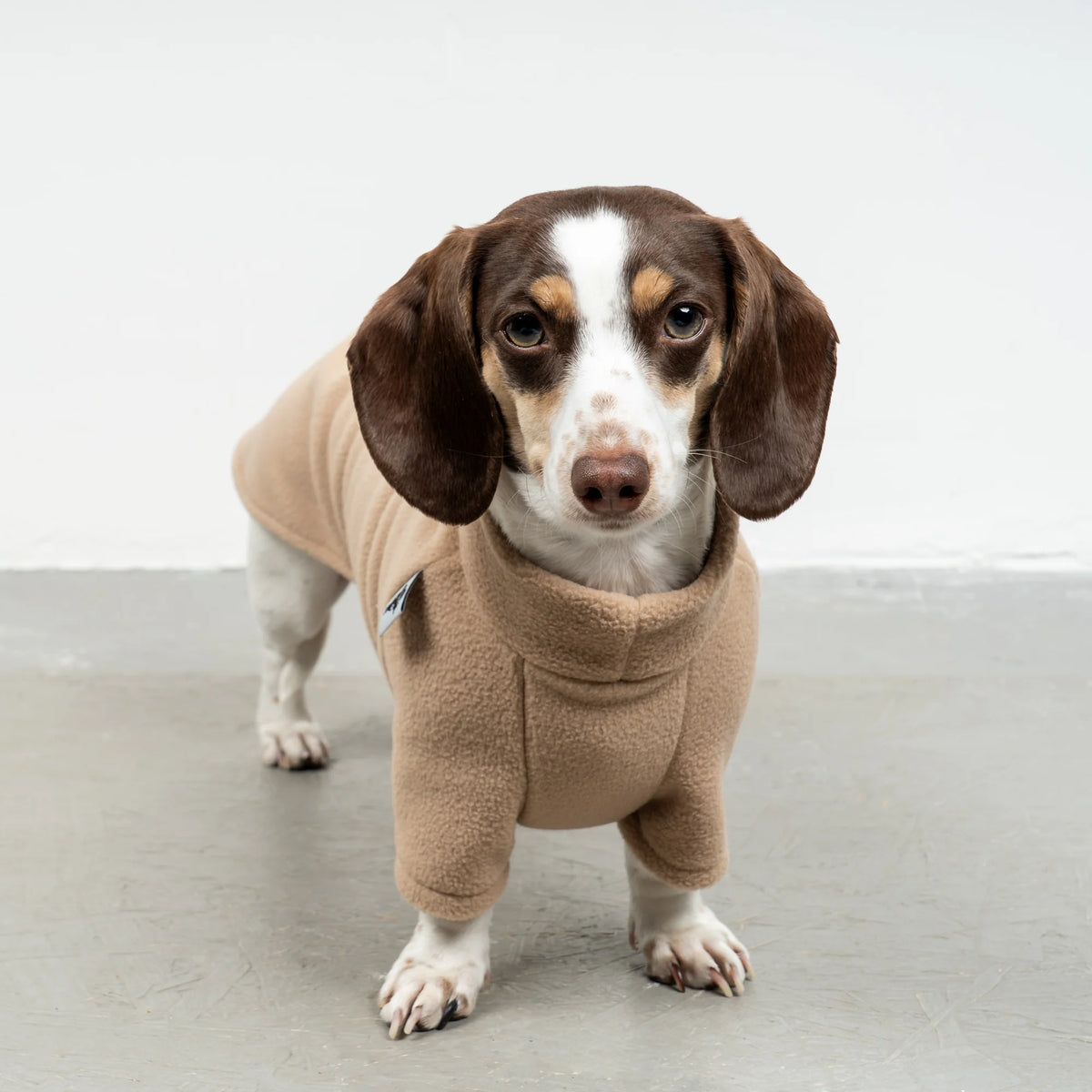 KARMA HUND Fleece Pullover für Dackel in Sand Beige