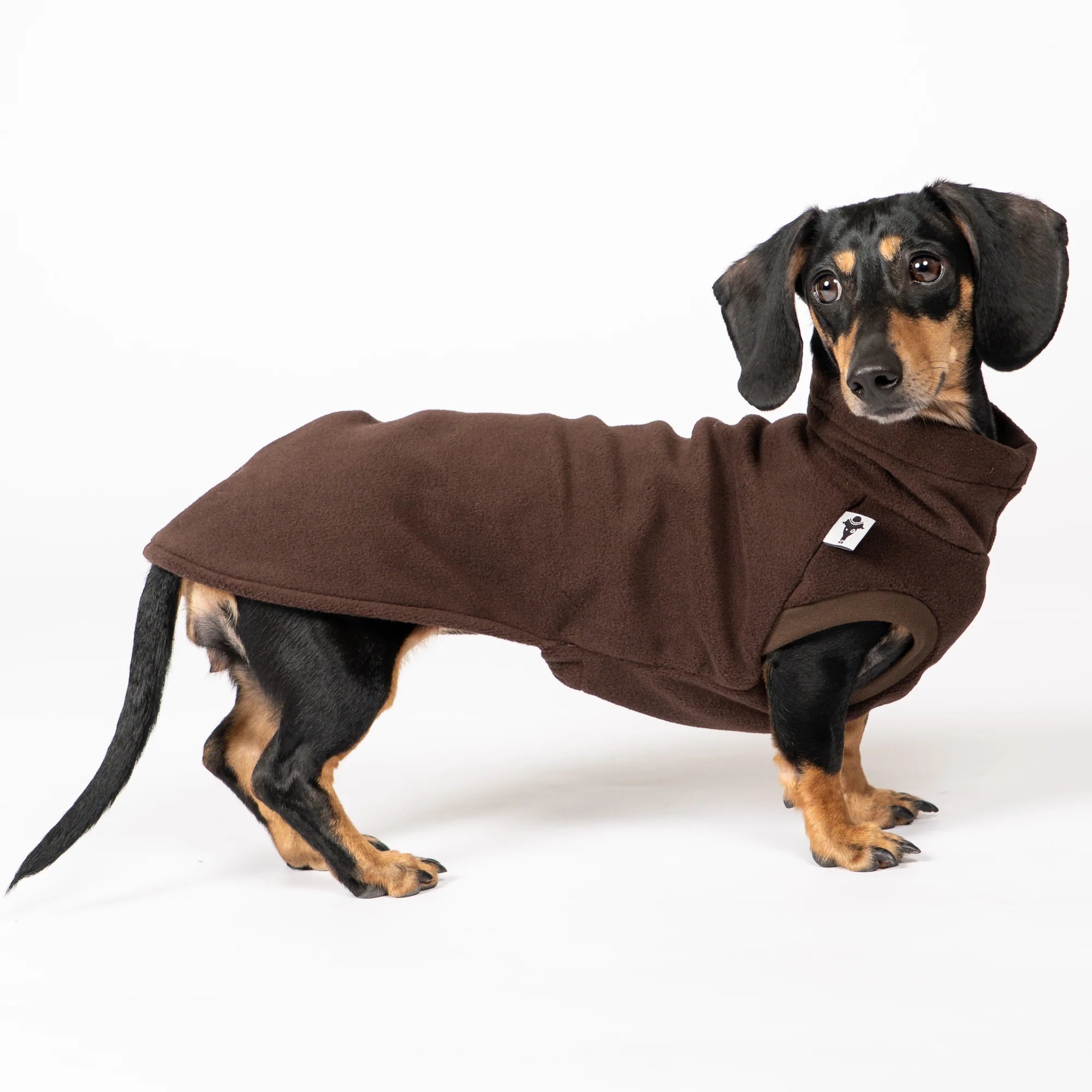 KARMA HUND Fleece Shirt für Dackel in Espresso