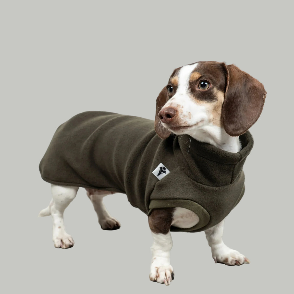 KARMA HUND Fleece Shirt für Dackel in Olivgrün