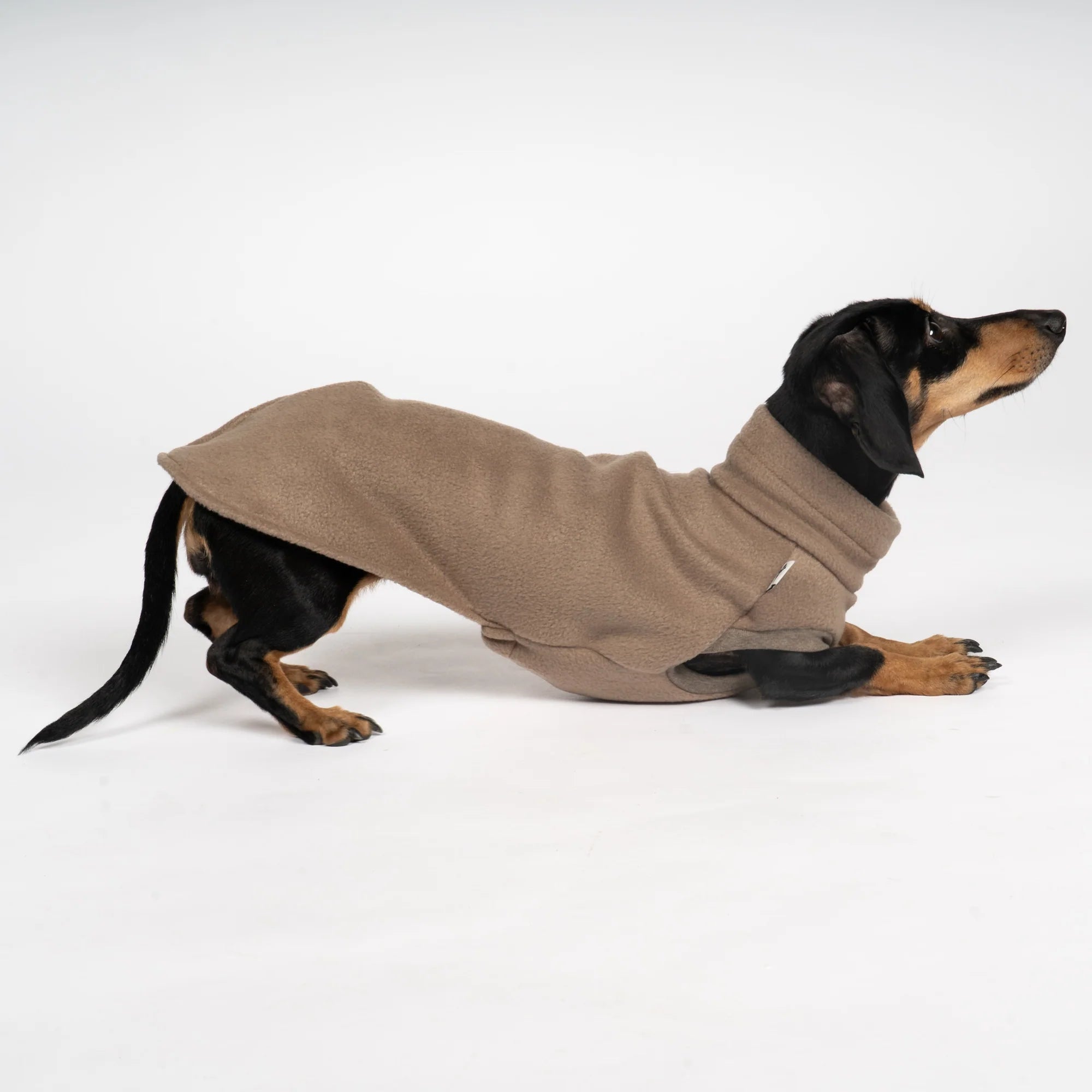 KARMA HUND Fleece Shirt für Dackel in Walnut