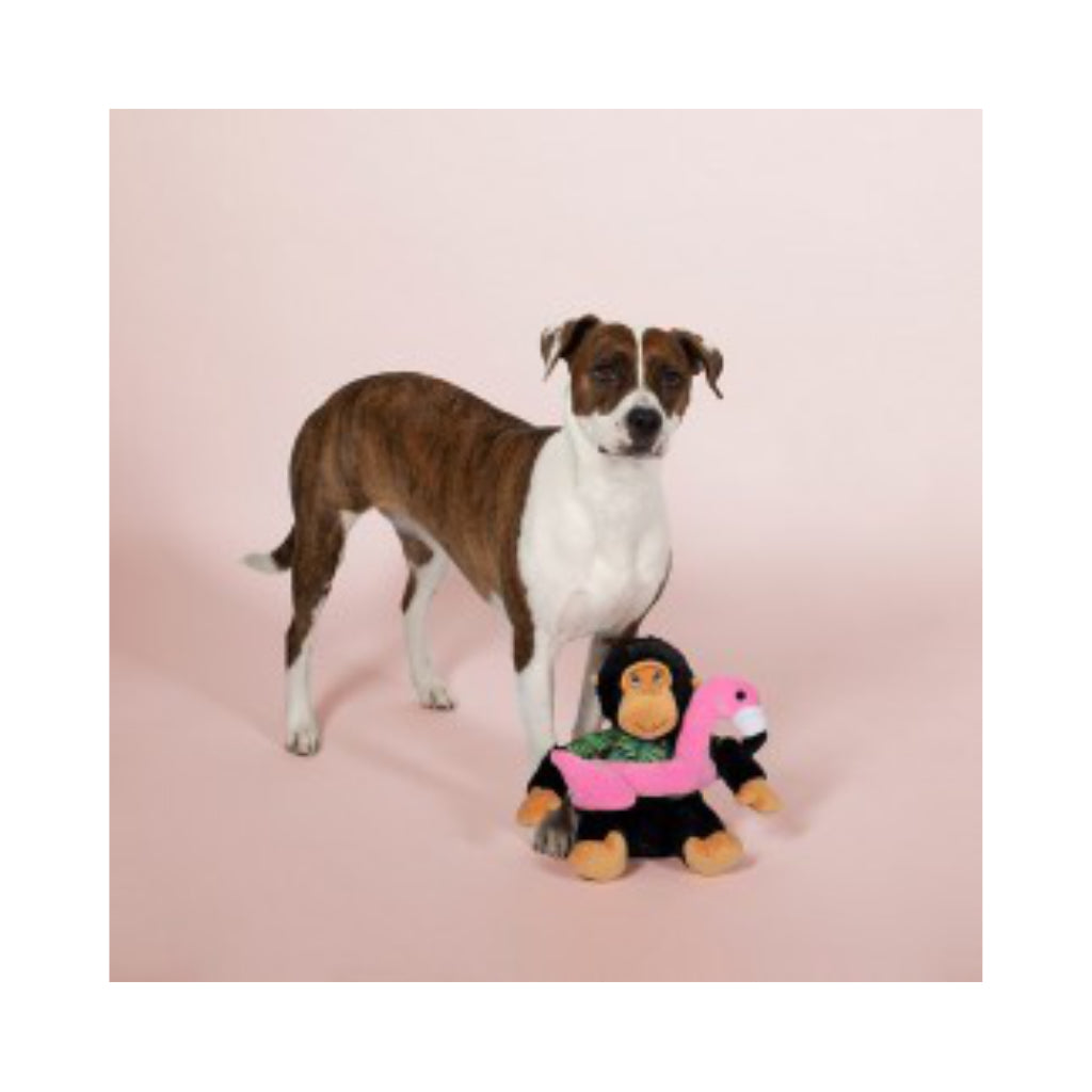 Hund mit Hundespielzeug Gregory the Gorilla XXL - PetShop by Fringe Studio