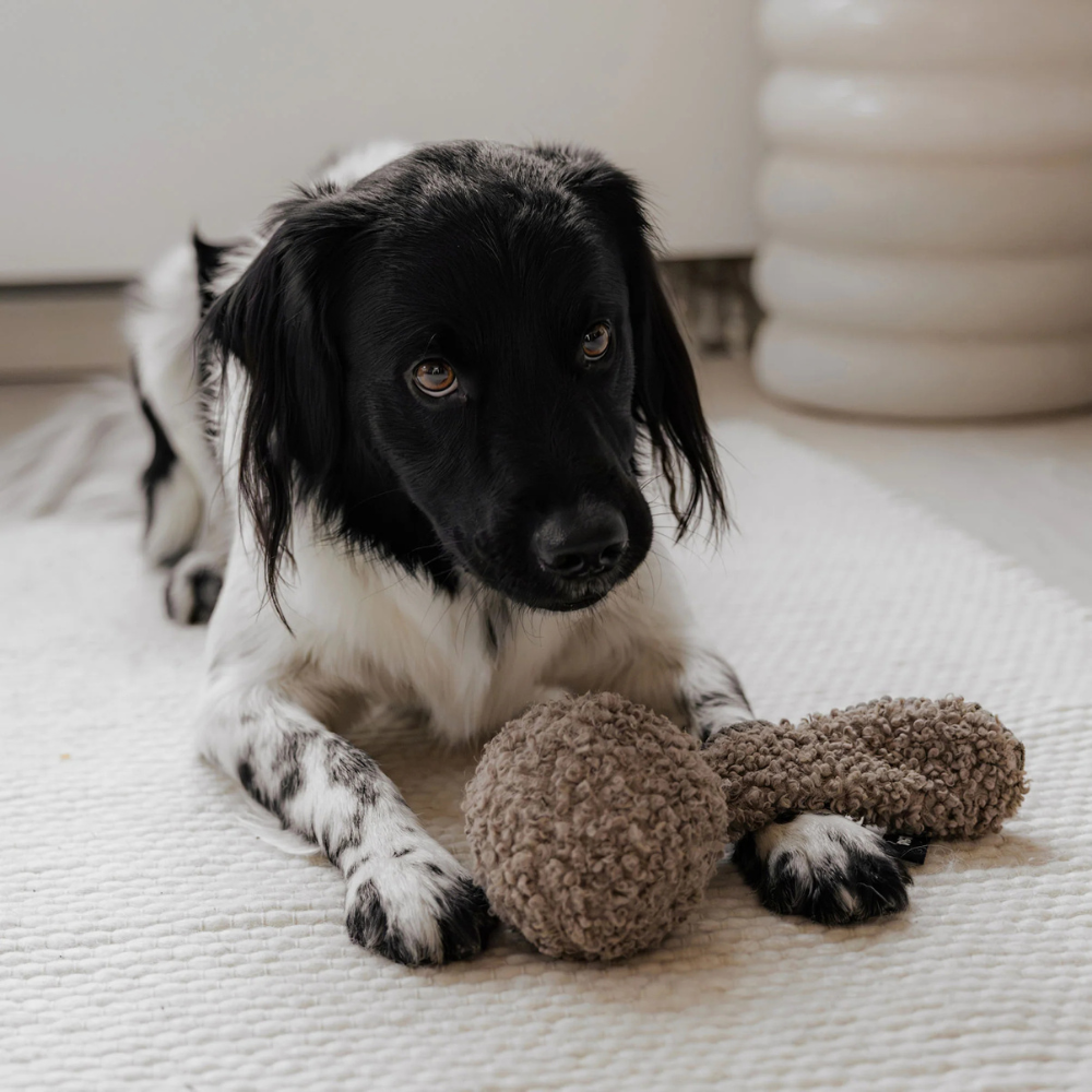 Großer Hund mit Hunde Apportierspielzeug CHUCK Taupe - district 70