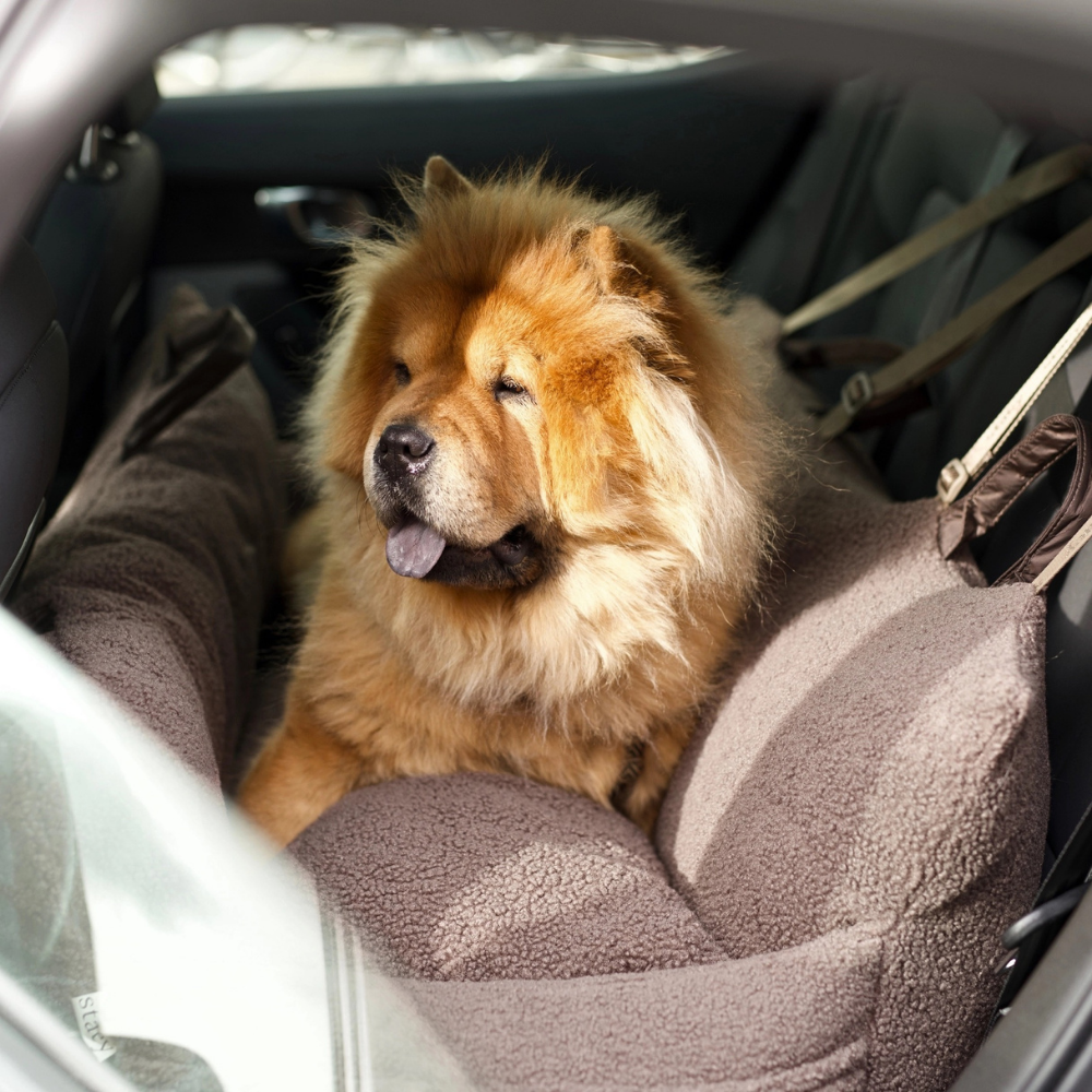 Großer Hund in Clara 3‑in‑1‑Autositz XXL für Hunde Teddy Braun Limitierte Auflage - staey