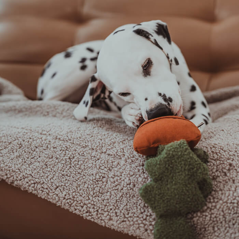 Großer Hund mit Schnüffelspielzeug Karotte - Lillabel