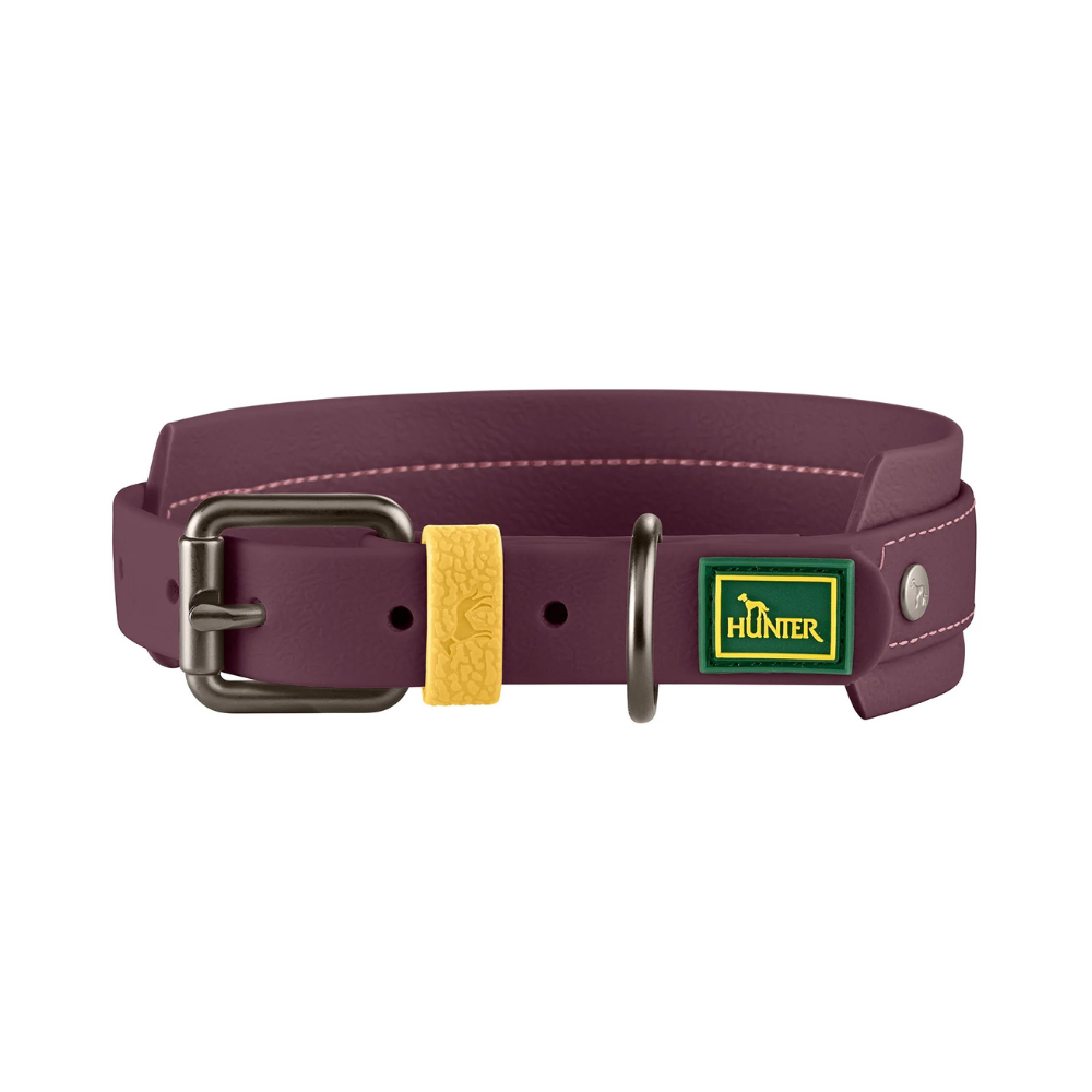 Halsband Havanna Brombeer - HUNTER