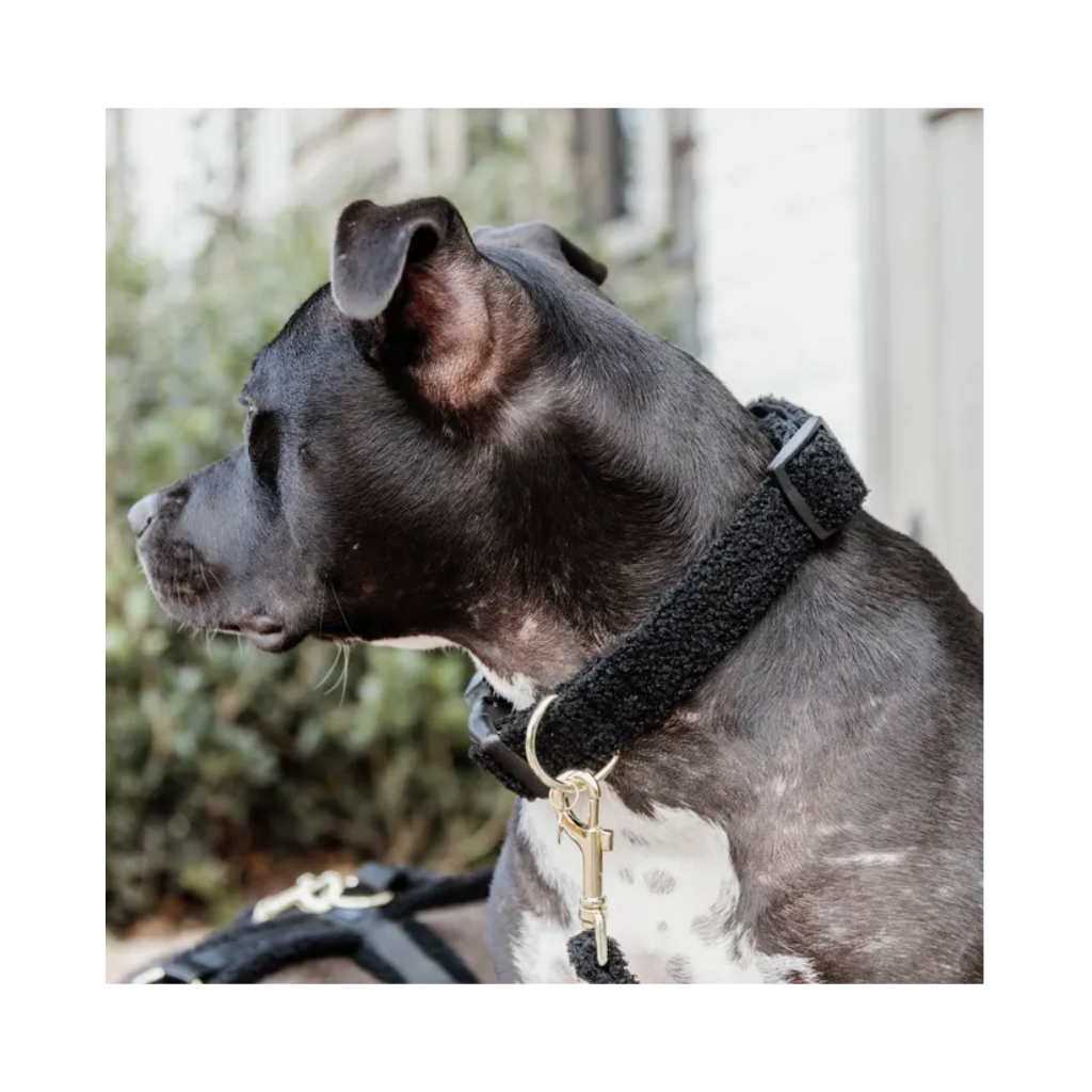Tragebild Set Hundehalsband & Leine Teddy Fleece Schwarz - Kentucky Dogwear