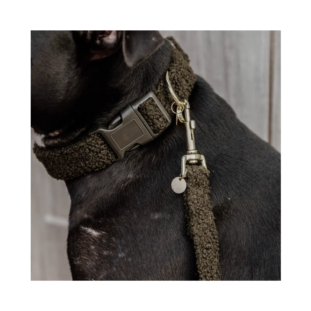 Tragebild Set Hundehalsband & Leine Teddy Fleece Oliv - Kentucky Dogwear
