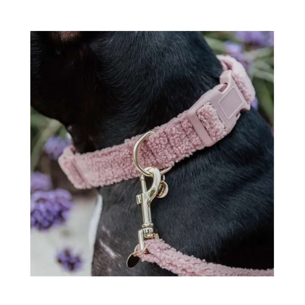 Tragebild Set Hundehalsband & Leine Teddy Fleece Rosa - Kentucky Dogwear