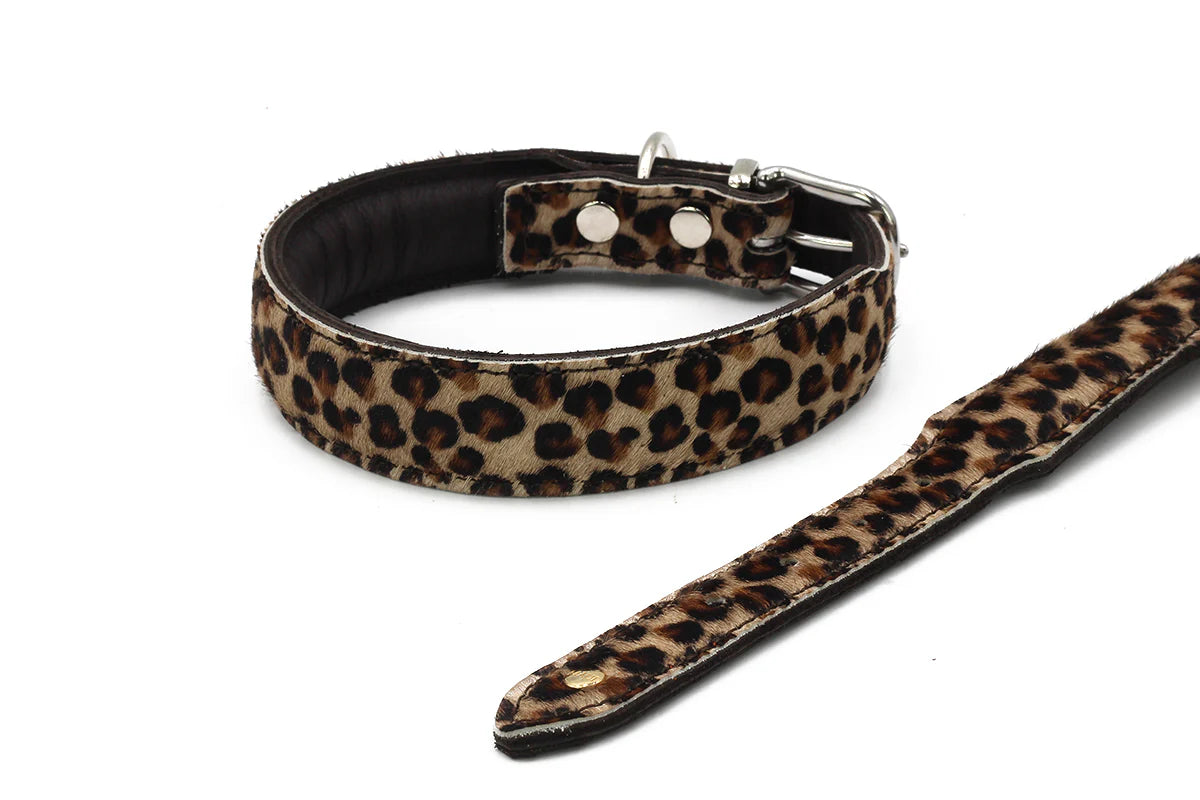 Halsband Leopard