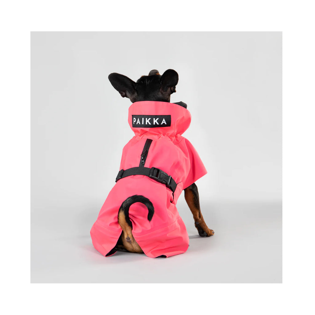 Hund mit Hunderegenmantel Raincoat Visibility LITE HOT PINK reflektierend - PAIKKA