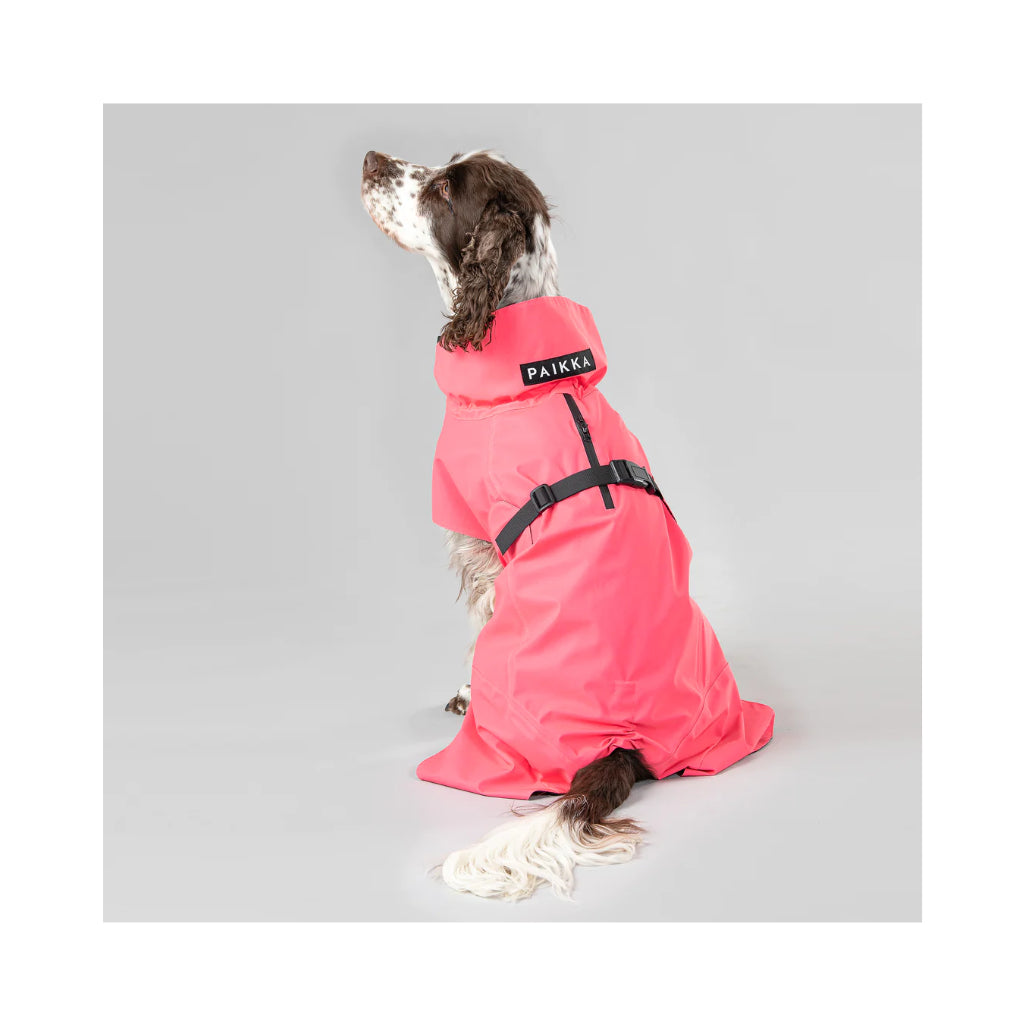 Hund mit Hunderegenmantel Raincoat Visibility LITE HOT PINK reflektierend 3 - PAIKKA