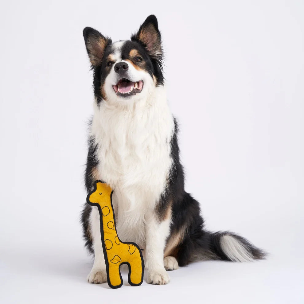 Hundespielzeug Giraffe – nachhaltig, robust & interaktiv