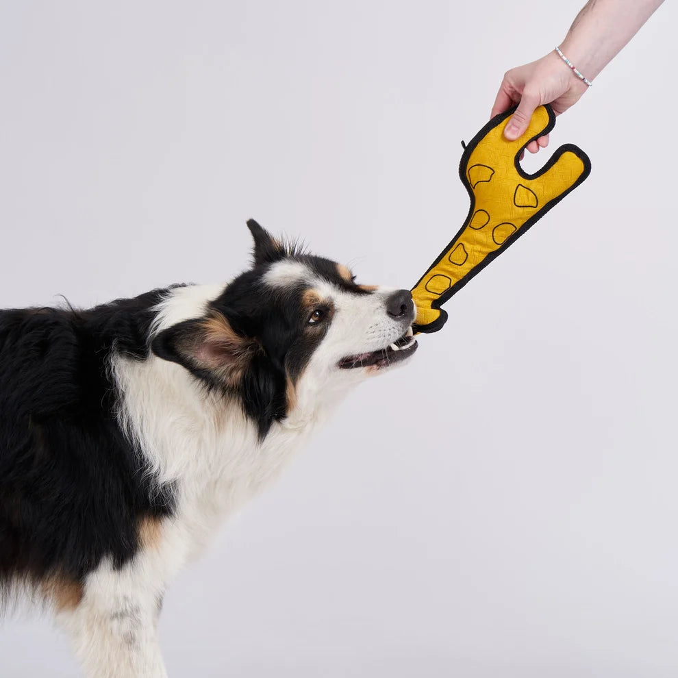Hundespielzeug Giraffe – nachhaltig, robust & interaktiv