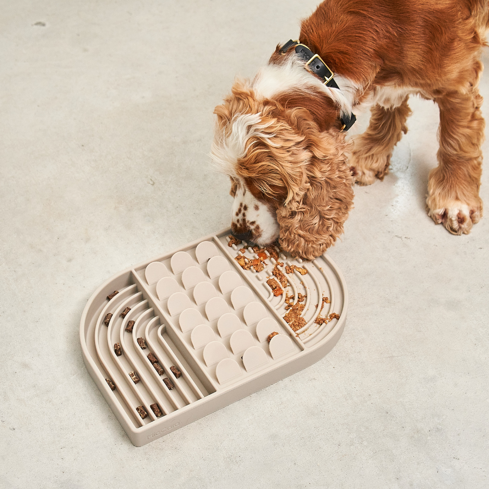 Hund mit Aperitivo Beschäftigungsspielzeug Greige - MiaCara